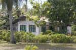 IMG_5031.jpg (189296 Byte)