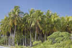 IMG_5141.jpg (148343 Byte)
