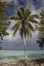 IMG_5142.jpg (118030 Byte)