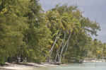 IMG_5168.jpg (132526 Byte)