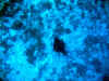 fp_fakaravaUW_10_mantarochen_ak.jpg (154971 Byte)
