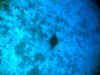 fp_fakaravaUW_11_mantarochen_ak.jpg (124200 Byte)