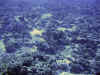fp_fakaravaUW_14_riff_ak.jpg (179760 Byte)