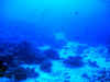 fp_fakaravaUW_78_alibabapass_ak.jpg (114972 Byte)