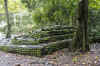 IMG_4500.jpg (216865 Byte)