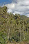 IMG_4593.jpg (167088 Byte)