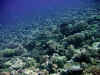 IMG_0944a.jpg (195427 Byte)
