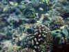 IMG_0946a.JPG (199268 Byte)