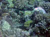 IMG_0955a.jpg (190133 Byte)