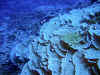 IMG_1080a.jpg (219980 Byte)