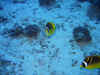 IMG_1081a.jpg (201355 Byte)