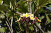 IMG_4702a.jpg (112898 Byte)