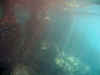 IMG_1237a.jpg (85751 Byte)