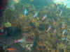 IMG_1264a.jpg (149881 Byte)