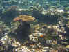 IMG_1267a.jpg (200407 Byte)