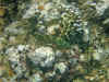 IMG_1328a.jpg (179621 Byte)