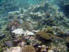 IMG_1358a.jpg (196832 Byte)
