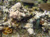 IMG_1362a.jpg (216580 Byte)