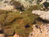 IMG_1370a.jpg (189351 Byte)