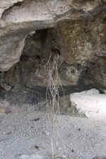 IMG_3850.jpg (145390 Byte)