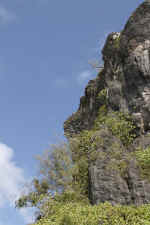 IMG_3909.jpg (119319 Byte)