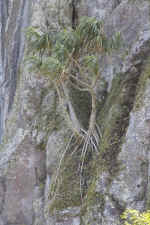 IMG_4063.jpg (175683 Byte)