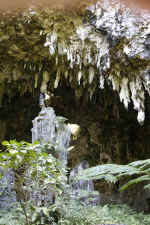 IMG_4082.jpg (174609 Byte)