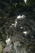 IMG_4090.jpg (137401 Byte)