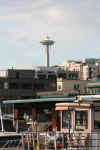 IMG_5075.JPG (82901 Byte)