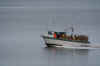pugetsound3.jpg (76085 Byte)