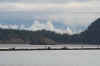 pugetsound7.jpg (61087 Byte)