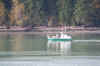 pugetsound8.jpg (109720 Byte)
