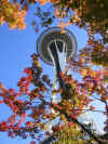IMG_4111.jpg (202110 Byte)