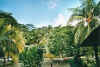 gartenberjaya.jpg (64004 Byte)
