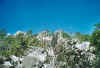 felsen.jpg (58038 Byte)