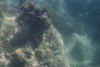 mehrere4.JPG (25638 Byte)