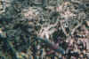 papageien1.JPG (48013 Byte)
