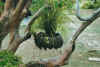 blumentopf.jpg (55653 Byte)