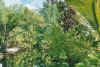 fluss.jpg (92192 Byte)