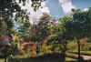 marechiaro1.jpg (73056 Byte)