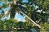 islandlodge.jpg (89446 Byte)