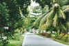 strasse.jpg (75607 Byte)