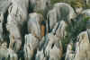 felsen3.jpg (50124 Byte)