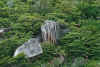 felsen.jpg (74189 Byte)