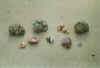 muscheln.jpg (39712 Byte)