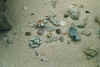 muschelnkorallen.jpg (51230 Byte)