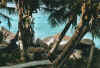view.jpg (59868 Byte)