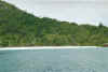 ansecocos2.jpg (43318 Byte)