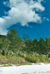 grandeanse2.jpg (43061 Byte)