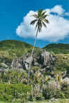 grandeanse5.jpg (61192 Byte)